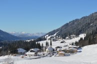 Tiefe Entspannung durch Hatha-Yoga