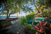 Yoga & Ayurveda Retreats auf Bali