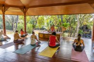Yoga- und Ayurveda-Retreat in tropischer Atmosphäre