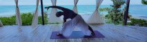 Yogalehrerin Alexandra Schlierf