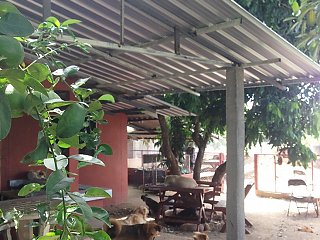Chiang Mai Tierheim Help for Dogs von Corinna Gogel