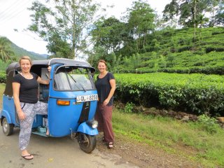Mit dem Tuk Tuk unterwegs auf Sri Lanka