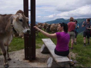 Freundliche Begegnungen auf Wanderungen im Allgäu