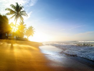 Spazieren Sie am Strand auf Sri Lanka entlang von Palmen und rauschenden Wellen