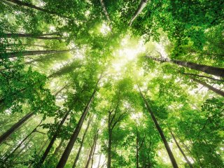 Nachhaltig reisen mit NEUE WEGE