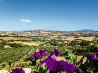 Der Blick bis nach Montelupone wirkt einfach inspirierend!
