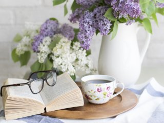 Lesen ist Entspannung und gleichzeitig Training für den Geist