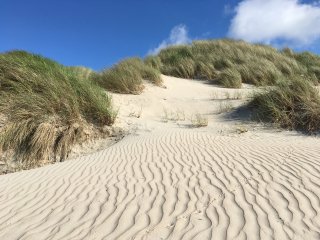 Erkunden Sie die Insel Baltrum und seine Dünnenlandschaften