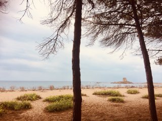 Der ursprüngliche Strand ist auch wolkigen Tagen ein Besuch wert