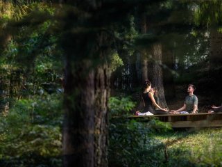 Frische Waldluft beim Yoga einatmen