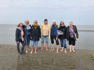 Die Yogis im Watt