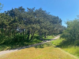 Die wunderschöne Natur auf Baltrum