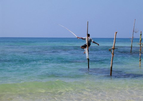 Ayurveda Sri Lanka Barberyn Beach Fisherman