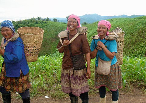 In dem kleinen Dorf Thaton, an der Grenze zu Myanmar, leben 80% der Bergvölker