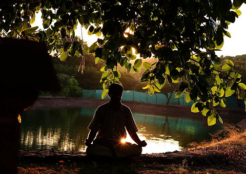 Genießen Sie die Stille bei einer Meditation im Grünen