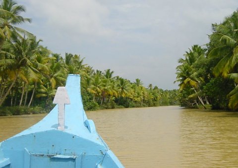 Eine Backwater-Tour ist ein beliebster Asuflug um die Natur keralas zu entdecken
