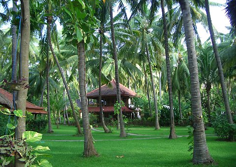 Die gemütlichen Bungalows erstrecken sich über den weitläufigen tropischen Garten