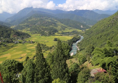 Die grüne Natur Bhutans 