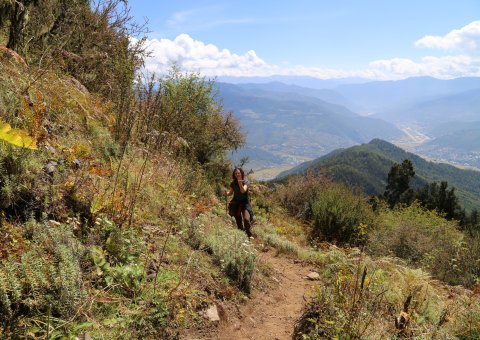 Viele Wanderwege ermöglichen abwechslunsgreise Trekkingtouren durch den Himalaya