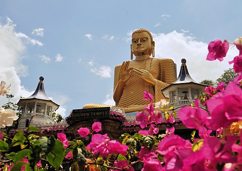 Buddha ist von Blumen umgeben