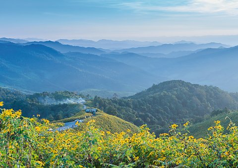 Der Norden von Thailand ist geprägt von tropischen Regenwäldern, Bergen und Flüsse die zu einer Trekkingtour einladen