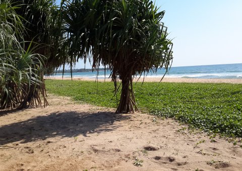 Der lange weiße Sandstrand lädt zu Strandspaziergängen ein