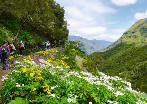Erforschen Sie die grüne Vielseitigkeit der Landschaft zu Fuß