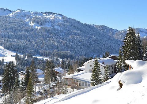 Direkt vom Bio-Berghotel Ifenblick erreichen Sie wundervolle Wanderwege