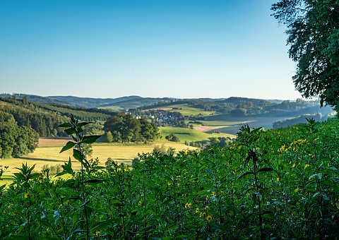 Das Schloss Melschede ist ein Wasserschloss in Hövel, einem Stadtteil von Sundern im Sauerland. 