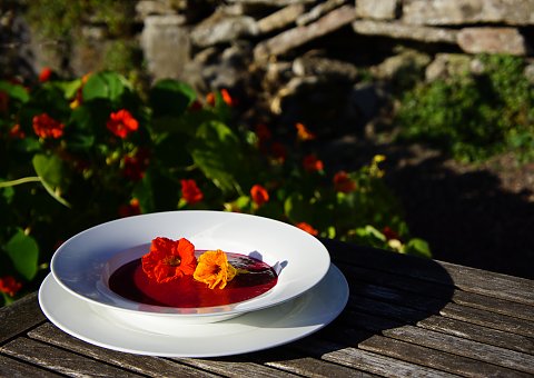 Die Schlossküche versorgt Sie individuell mit heimischen Produkten aus Feld und Wald und dem eigenen Gemüsegarten