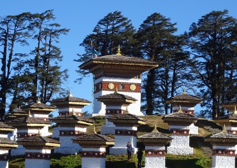 Majestätische Chorten am Dochula Pass