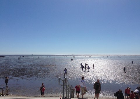 Wattwanderung vor Büsum
