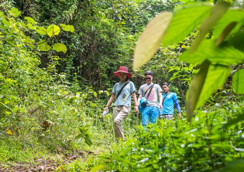 Die untouristische Insel ist perfekt für Jungle Treks 