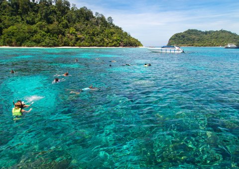 Schnorcheln in den tiefblauen Gewässern der Meeres Buchten von Thailand