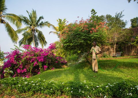 Die schön gepflegte Gartenanlage im Somatheeram Ayurveda Resort