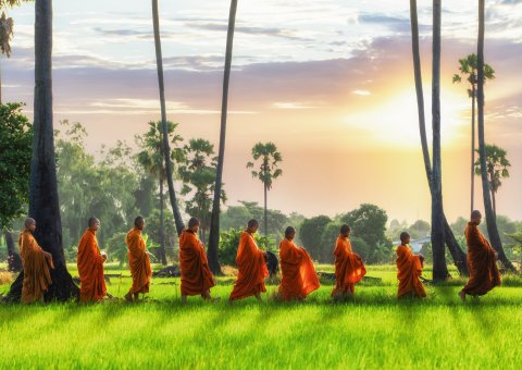 Buddhistische Möche in den grünen Reisterassen in Thailand