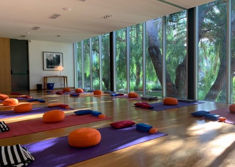 Großer Yogaraum mit Blick ins Grüne