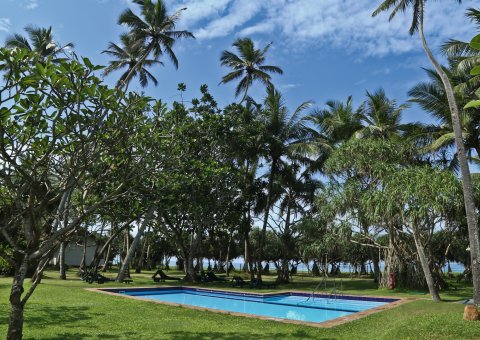 Entspannen Sie im Pool umgeben von Palmen