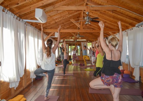 Die Holzkonstruktion der Yogahalle versprüht eine erdende Energie.