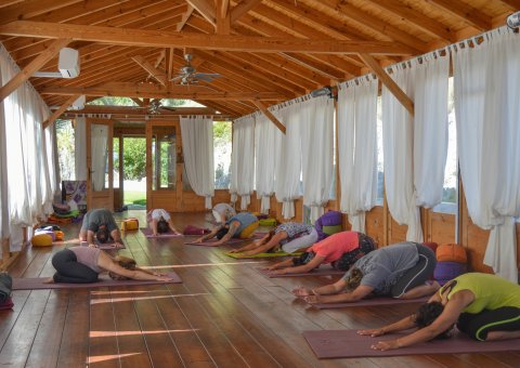 Tanken Sie Energie bei wohltuenden Yoga-Einheiten!