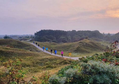 Neben dem Meer bietet Baltrum auch eine traumhafte Natur, die zum Walken in den Morgenstunden einlädt