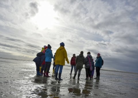 Der Höhepunkt der Reise: Wattwanderung