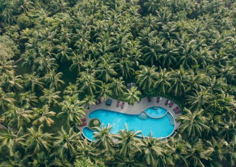 Der Pool mitten im grünen Palmengarten