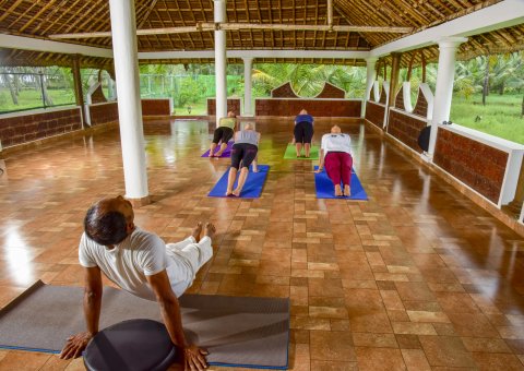 Kräftigenden und dehnenden Asanas mit Atemübungen und Meditation