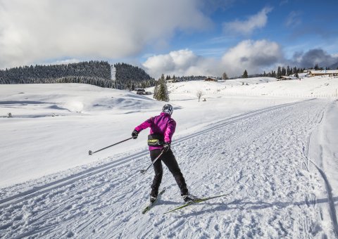 Die Umgebung eignet sich wunderbar für Skilanglauf
