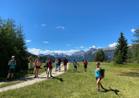 Genießen Sie Wanderungen in der Südtiroler Natur