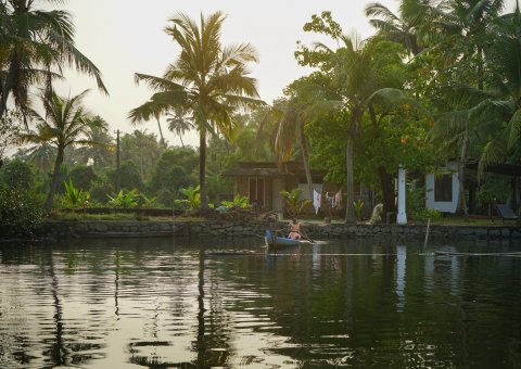 Die Backwaters in Kerala entdecken