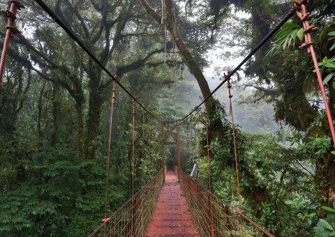 Auf abenteuerlichen Wegen durch den Regenwald Costa Ricas
