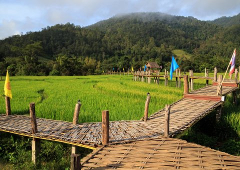 Reisefelder in der Provinz Mae Hong Son
