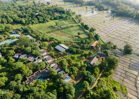 Die Anlage des Ayurvie Sigiriya neben weitläufigen Reisfeldern